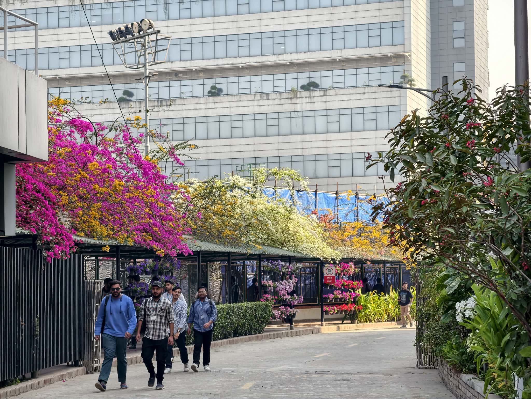 Spring in AIUB Campus